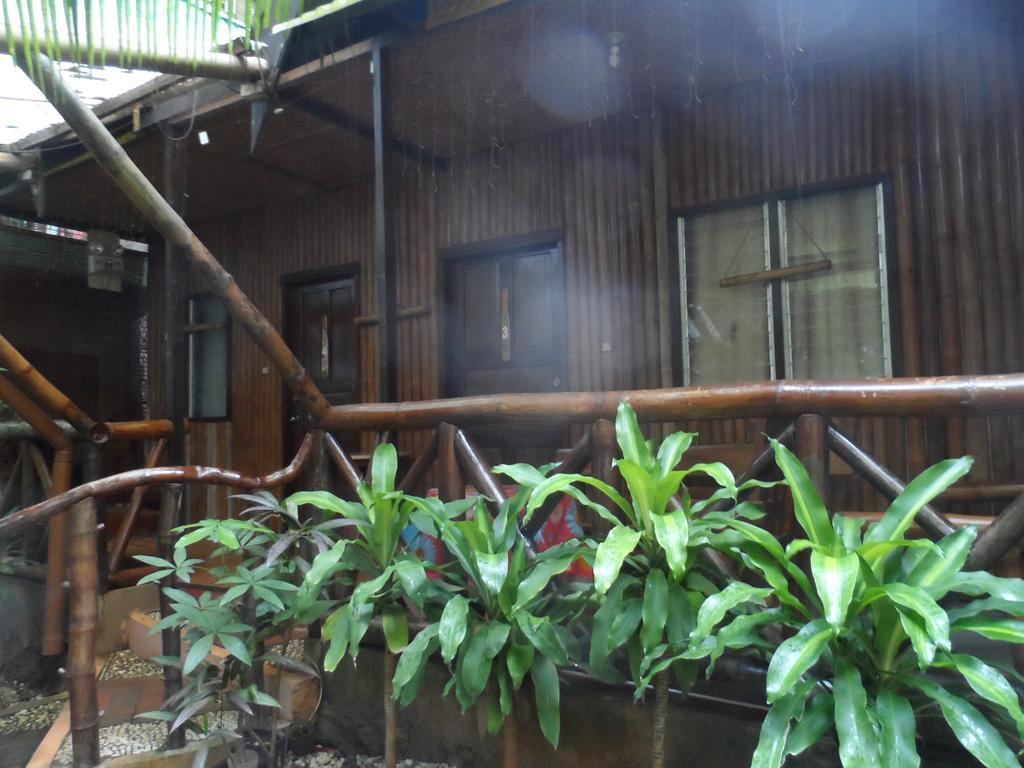Victoria Guest House And Cottages Puerto Princesa Exterior photo